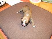 Bild 22